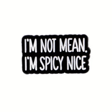Load image into Gallery viewer, Spicy Nice Enamel Pin